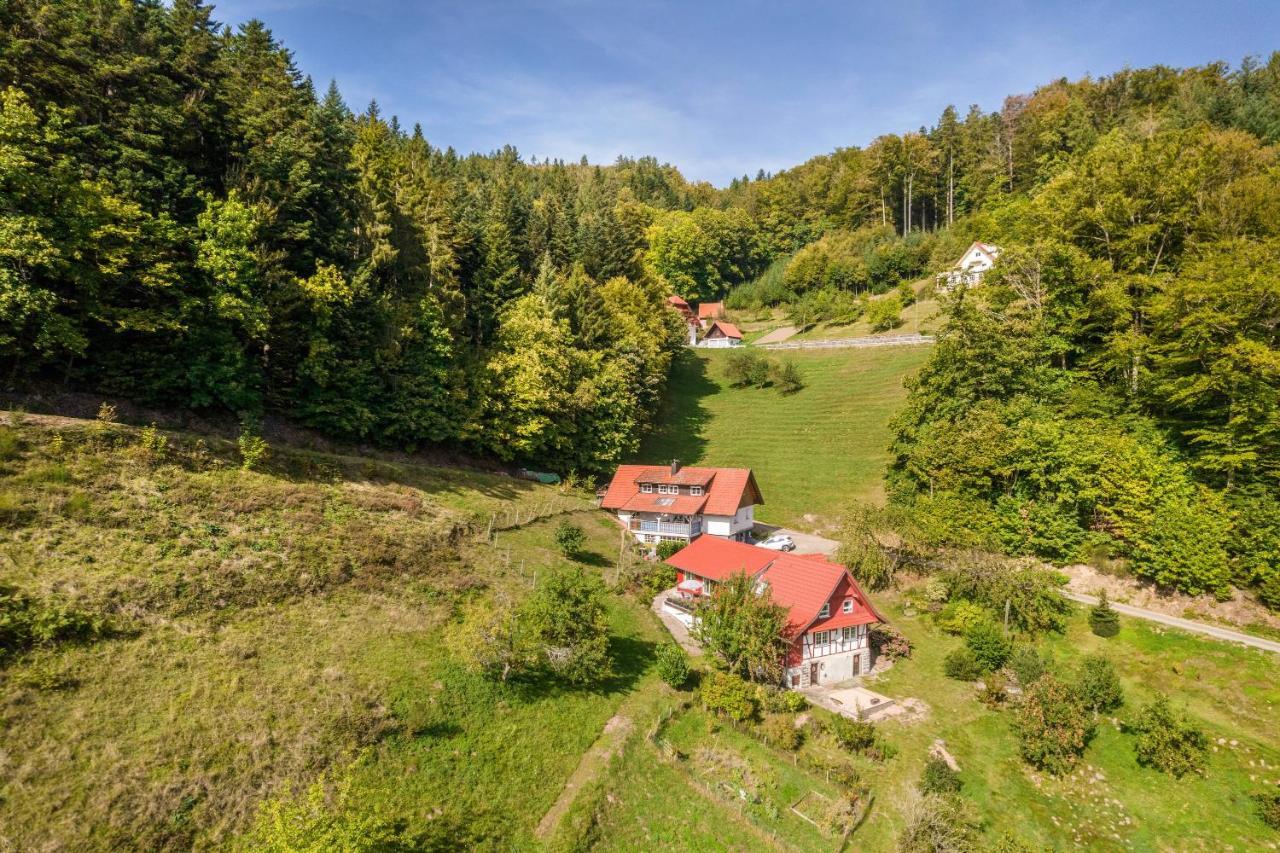 Haus Wiesenruhe *