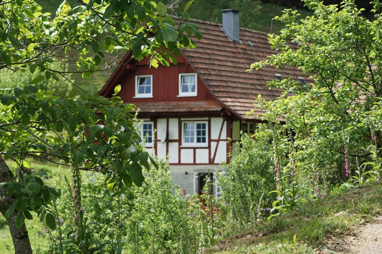Haus Wiesenruhe Ferienhaus *