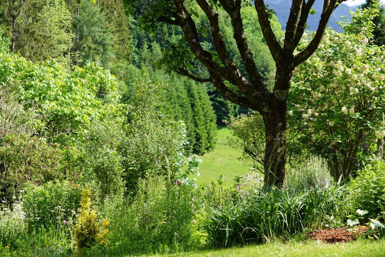 Haus Wiesenruhe * Seebach