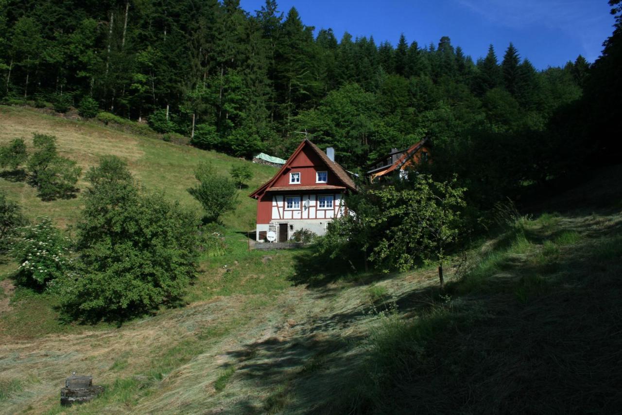 Haus Wiesenruhe *