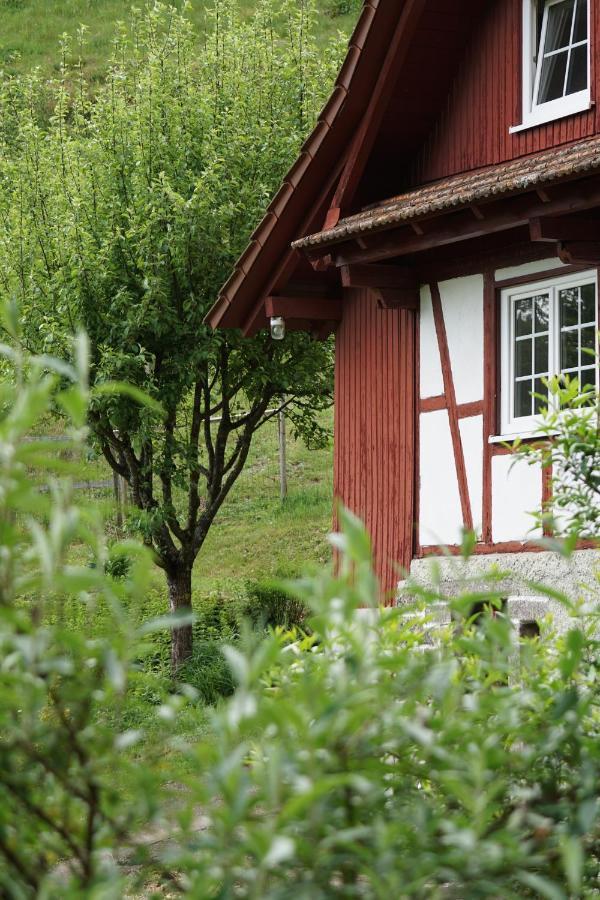Haus Wiesenruhe Ferienhaus *